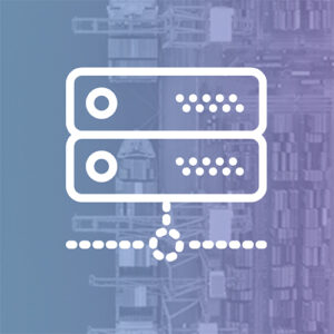 Bulk Data Feeds